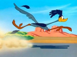 road-runner