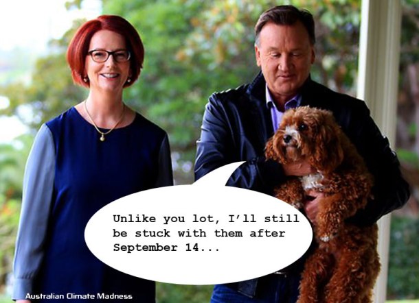 gillard_dog_0