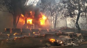 Greens see an opportunity to make cheap political points