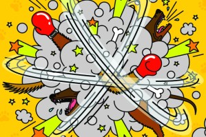 Anemometers at ten paces