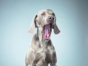 Yawn, another ridiculous global warming story.